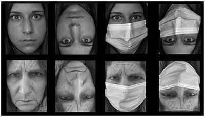 Understanding the Impact of Face Masks on the Processing of Facial Identity, Emotion, Age, and Gender
